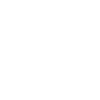 پلت سایه اسنس